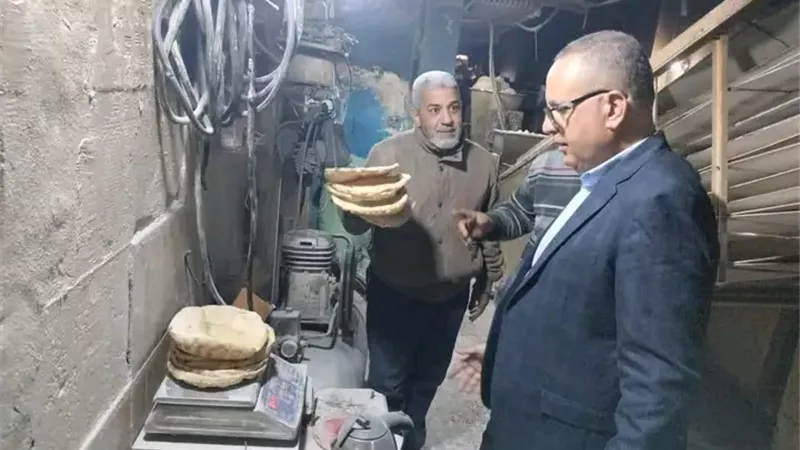 تموين الدقهلية: ضبط 32 طن مخلل فاسد و150 أسطوانة غاز وتحرير 142 محضرًا خلال يوم واحد
