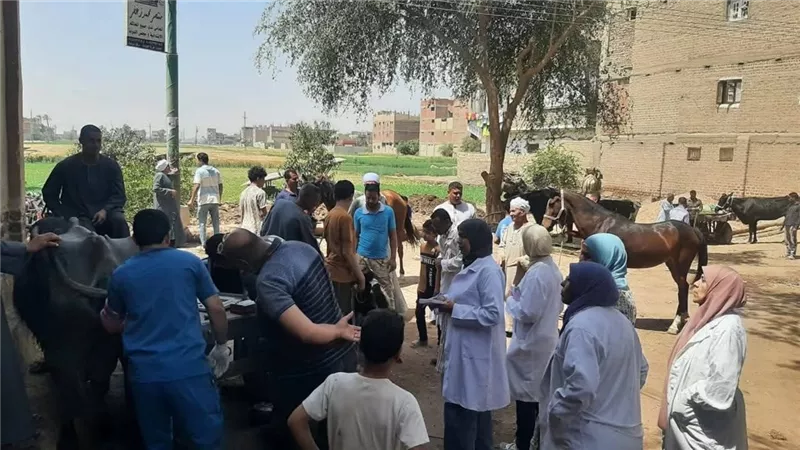 فحص وعلاج 3150 حالة خلال قوافل بيطرية بمراكز طما والمراغة والمنشأه بسوهاج