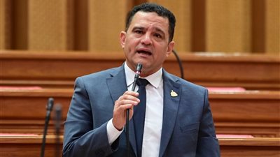 النائب أمير الجزار يطالب بمد مظلة منافذ أدوية التأمين الصحي للقرى والريف المصري