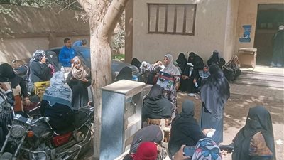 بيطري بسوهاج: تسلم أكثرمن 850 رأس أغنام عشار للأسرالأكثر احتياجا 