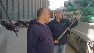 منذ انطلاق موسم الحصاد.. توريد 9 ألاف طن بالمنوفية