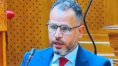 نائب برلماني: الاستقرار يعزز جاذبية مصر ويقود انتعاش السياحة