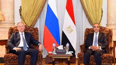 وزير الخارجية يؤكد عمق الشراكة مع روسيا ويشيد بتقدم المشروعات المشتركة