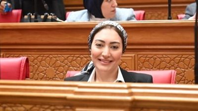 طلب إحاطة للحكومة بسبب تعطل «سيستم التأمينات».. ومعاناة المواطنين تتصاعد
