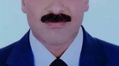 البطيخة بسعر 300 جنيه والعنب بـ 230 جنيه.. شعبة الخضروات والفاكهة توضح
