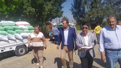 رئيس مركز ومدينة السنبلاوين يتفقد شون التخزين استعدادًا لموسم توريد القمح 2026