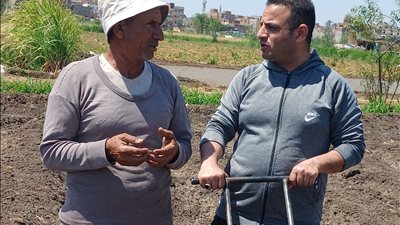 البلنتر آلة حديثة توفر الجهد وتقلل الفاقد في زراعة الذرة الشامية بكفر الشيخ