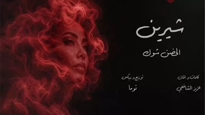 شيرين عبدالوهاب تكشف داعميها في أزمتها: 