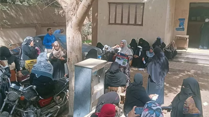 بيطري بسوهاج: تسلم أكثرمن 850 رأس أغنام عشار للأسرالأكثر احتياجا 