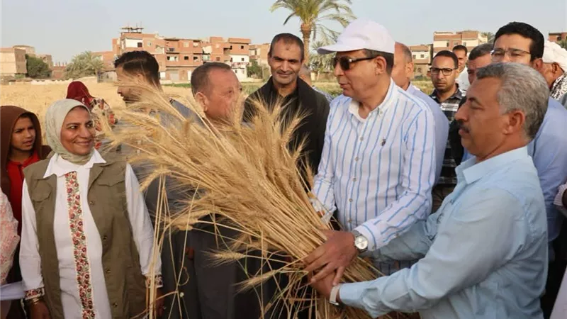 بيحصد بإيده.. محافظ المنيا يشارك الفلاحين موسم القمح ويؤكد: الفلاح بطل الأمن الغذائي