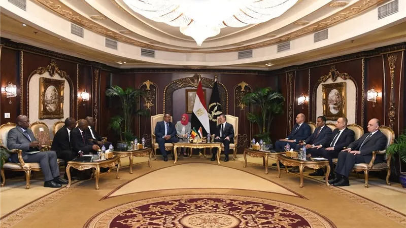 وزير الداخلية يستقبل وزير الأمن والحماية المدنية بجمهورية مالي