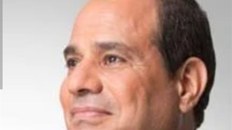 السيد الرئيس السيسي