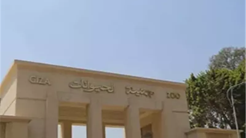 تثبيت اللوحة الجديدة