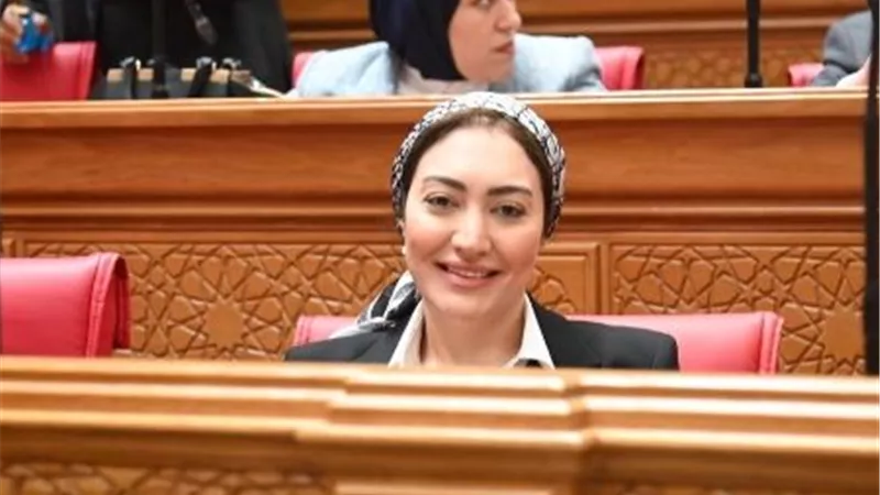طلب إحاطة للحكومة بسبب تعطل «سيستم التأمينات».. ومعاناة المواطنين تتصاعد