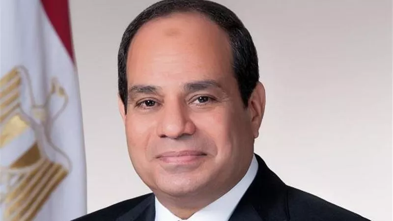 السيسي يبحث مع الأمين العام لمنظمة التعاون الاقتصادي دعم الاقتصاد وتعزيز التعاون مع OECD