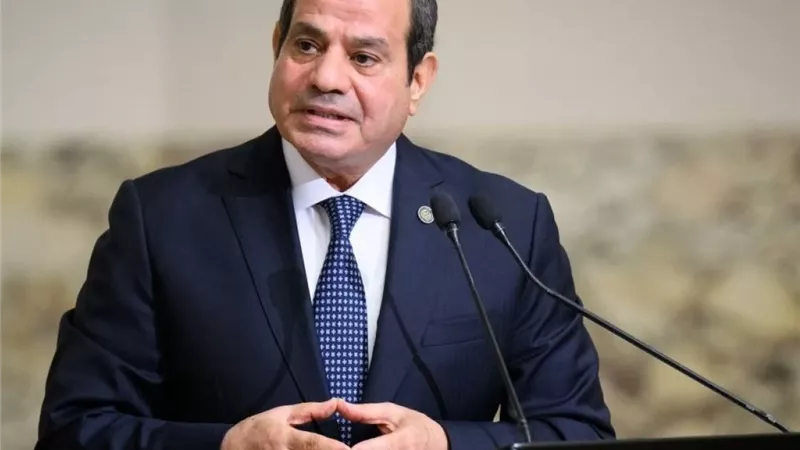 تحسين مستوى المعيشة في الصدارة.. السيسي يستعرض نتائج الإصلاح الاقتصادي اجتماعيًا