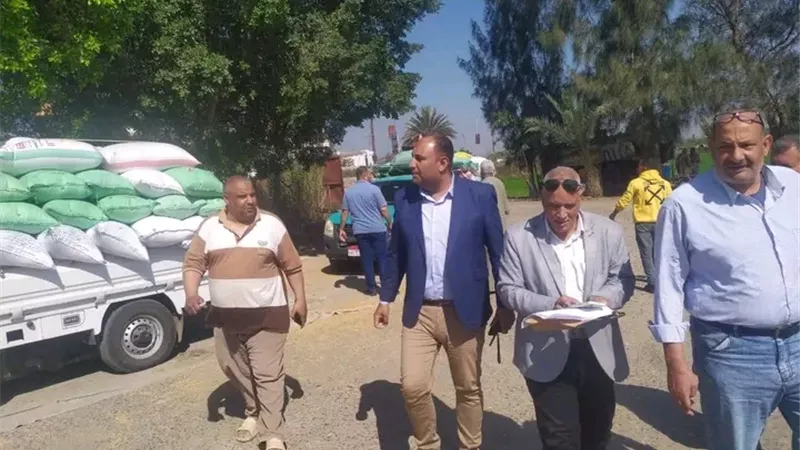 رئيس مركز ومدينة السنبلاوين يتفقد شون التخزين استعدادًا لموسم توريد القمح 2026