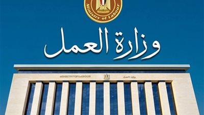 مستشار وزير العمل يحذر: نماذج عقود العمل على الإنترنت 