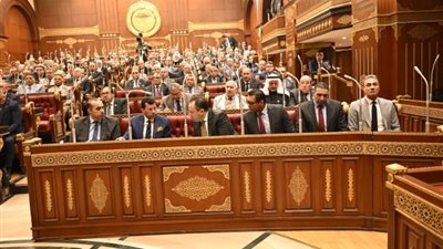 رفع الجلسة العامة للشيوخ وعودة الانعقاد 8 يونيو