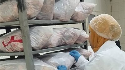 الجيزة تُشدد الرقابة على مجازر الدواجن.. أرقام ضخمة وإجراءات صارمة لحماية الغذاء