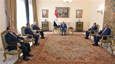 تحالف جديد في القارة.. ماذا دار بين السيسي ورئيس بنك التنمية الأفريقي؟