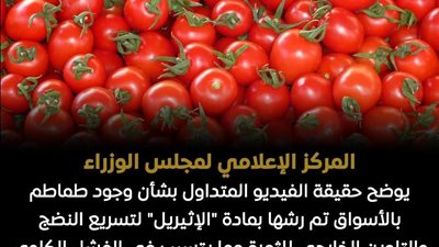 هل الطماطم في الأسواق مسرطنة؟.. مجلس الوزراء يحسم الجدل رسمياً