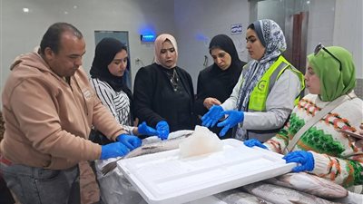 ضبط 12طن لحوم وأسماك غير صالحة للاستهلاك الآدمي خلال أبريل بكفرالشيخ