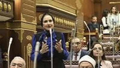 11 مليار جنيه زيادة.. برلمانية تزف أخبار سارة بشأن التأمينات والمعاشات