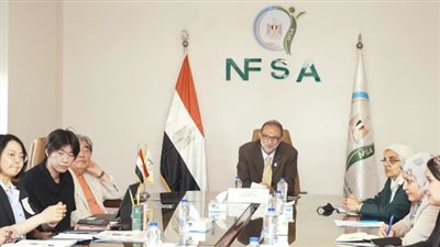 تعزيزًا للتبادل التجاري.. سلامة الغذاء تبحث مع شركات كورية فرص الاستثمار بمصر