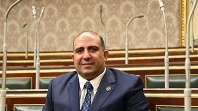 برلماني: التوجيهات الرئاسية بشأن تعزيز الاستثمار في إفريقيا تعيد تشكيل النفوذ الاقتصادي