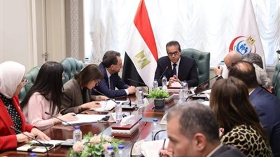 وزير الصحة يبحث مع السفير الفرنسي بالقاهرة تعزيز علاج أطفال فلسطين المصابين بالأورام