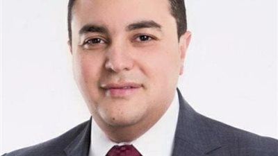 برلماني يتقدم بطلب إحاطة بشأن تزايد انتشار الكلاب الضالة في الشوارع 