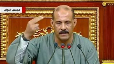 عضو بالنواب : العلاقات بين مصر والإمارات تجسد نموذجًا قويًا لتماسك الصف العربي