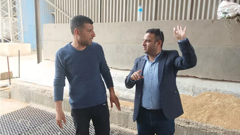 30 ألف طن قمح داخل صومعة كفر الشيخ.. كيف تُدار المنظومة؟