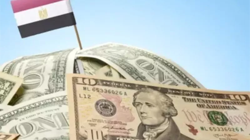 الأخضر بقا بكام.. تعرف على سعر الدولار آخر تعاملات السبت 2026/5/2