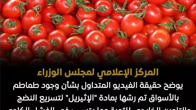 هل الطماطم في الأسواق مسرطنة؟.. مجلس الوزراء يحسم الجدل رسمياً