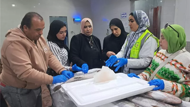 ضبط 12طن لحوم وأسماك غير صالحة للاستهلاك الآدمي خلال أبريل بكفرالشيخ
