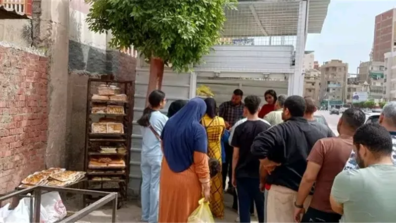 «غرب المنصورة تحت الرقابة».. متابعة ميدانية مكثفة لضمان انتظام صرف الخبز المدعم ووصوله لمستحقيه
