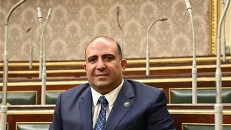 برلماني: التوجيهات الرئاسية بشأن تعزيز الاستثمار في إفريقيا تعيد تشكيل النفوذ الاقتصادي