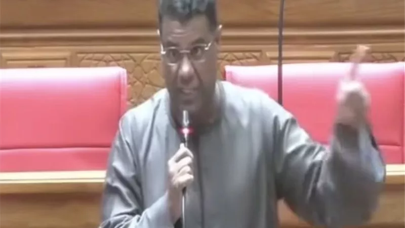 برلماني: مصر موقفها راسخ تجاه أشقائها العرب وهي المدافع الأول عن القومية العربية 