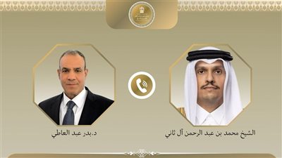 وزير الخارجية يبحث مع رئيس وزراء قطر خفض التصعيد الإقليمي
