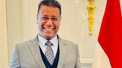 برلماني: جولة السيسي الخليجية تحظى بإشادة برلمانية لدعم الأمن والاستقرار العربي|خاص
