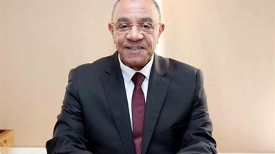 رسائل دعم من القاهرة إلى أبوظبي.. وعضو بالشيوخ يشدد على قوة التحالف المصري الإماراتي