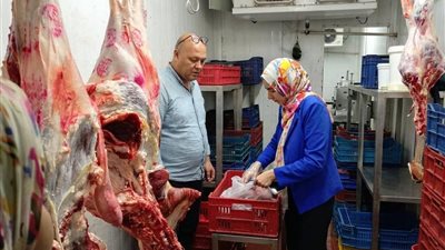 حملات مكثفة بالمنيا وملوي.. غلق وتشميع 31 منشأة مخالفة خلال ساعات