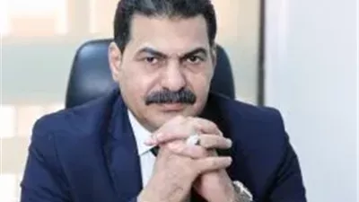 عضو بمجلس النواب: مصر تقف إلى جانب الإمارات في مواجهة أي تهديدات
