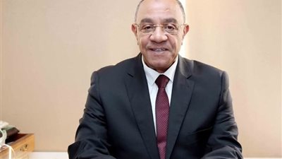 عادل ناصر: أمن الخليج جزء لا يتجزأ من الأمن القومي المصري والعربي