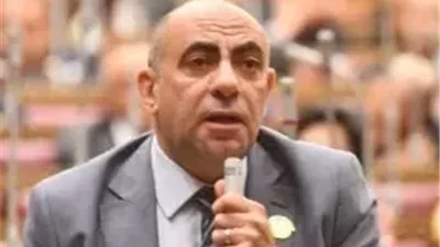 برلماني: الإسكندرية تعود بوابة للحوار الثقافي المصري الفرنسي بافتتاح جامعة سنجور