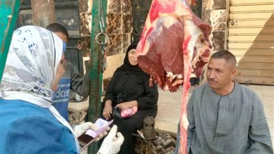 ضبط 412 كيلو لحوم فاسدة ومجهولة المصدر خلال حملات بيطرية مفاجئة بالمنيا
