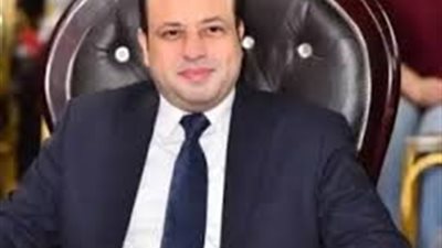 عضو بالنواب: السيارات الكهربائية ليست رفاهية.. بل بوابة اقتصاد جديد وفرص تصدير