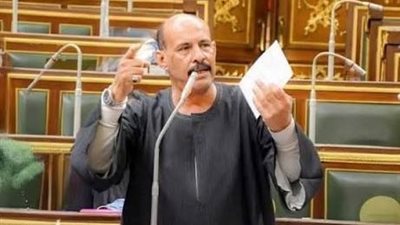 برلماني: مشاركة مصر في قمة نيروبي رسالة بأن القاهرة تسعى لإعلاء القارة الإفريقية| خاص 
